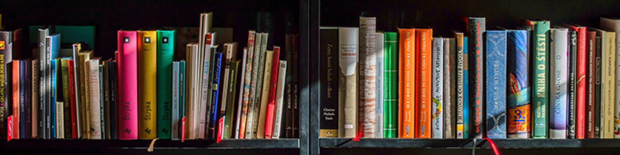 bookcase-books-bookshelves-159711